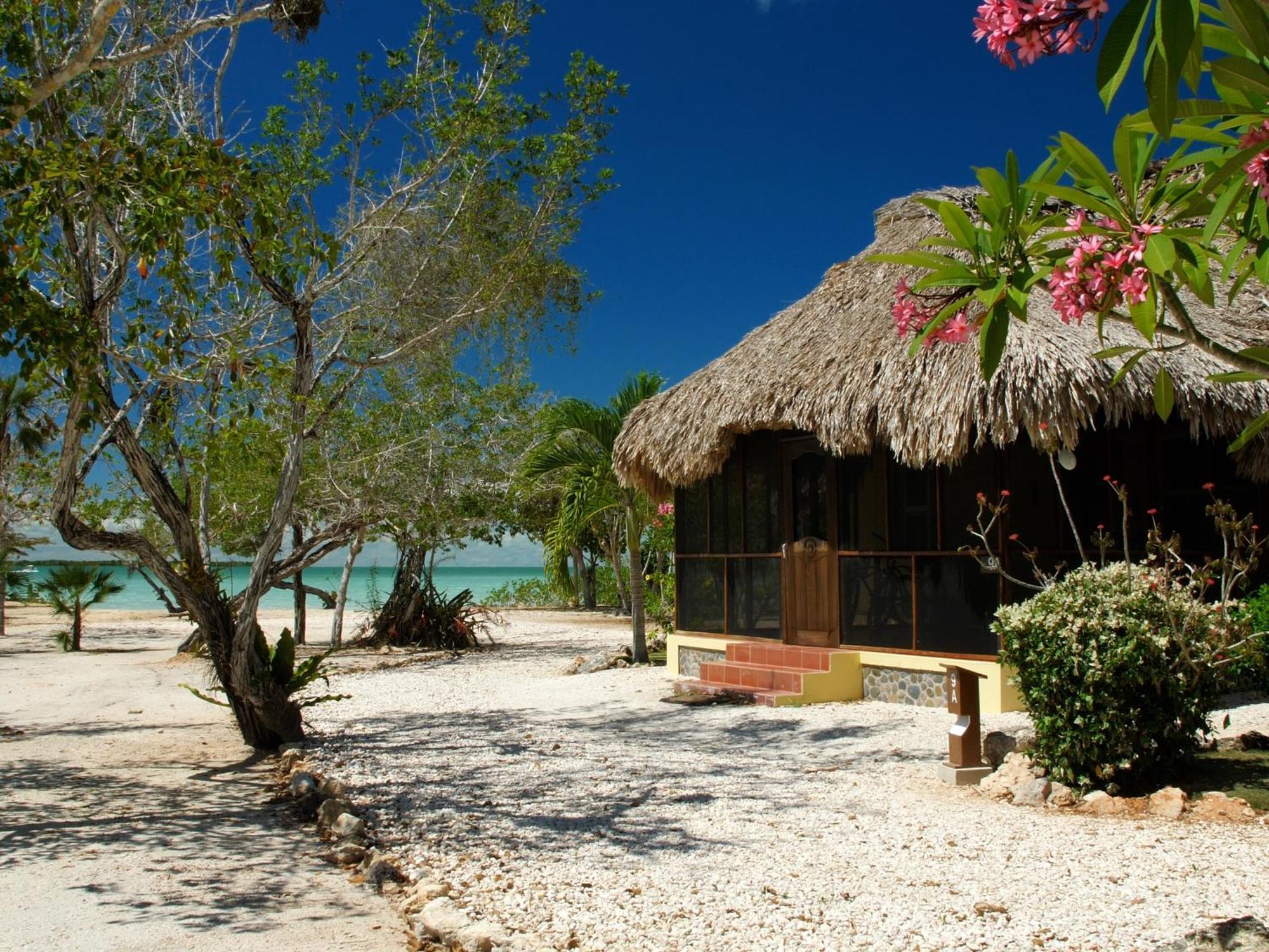 Orchid Bay Resort Corozal Quarto foto